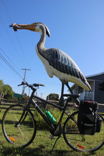 photo de Roland Bouat